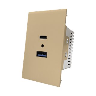 Piano Series 48mm 36W USBA+C socket (champagne)